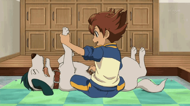a boy is playing with a dog that is laying on the floor in front of a tv that says tokyo