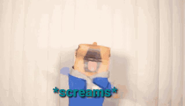 a blurry picture of a person screaming with the words * screams * in the background