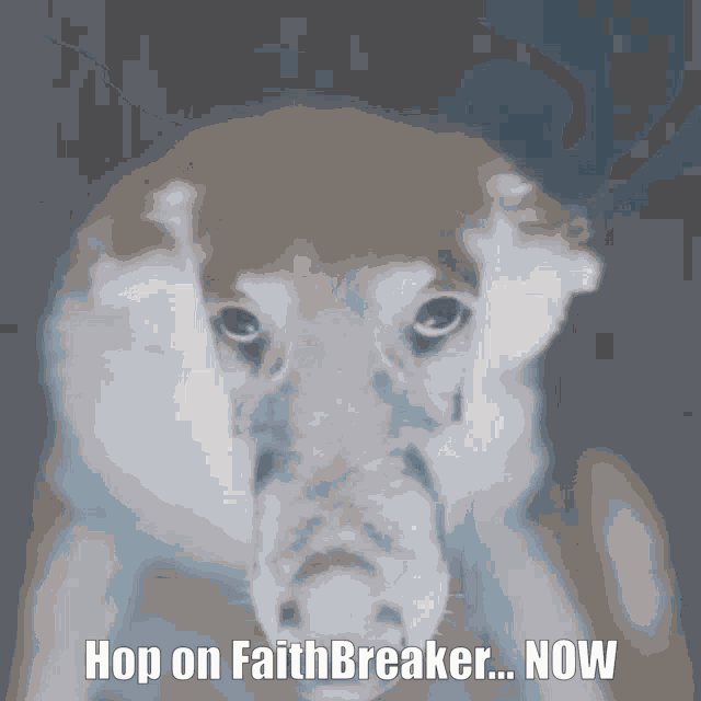 a picture of a dog with the words hop on faithbreaker now written below it