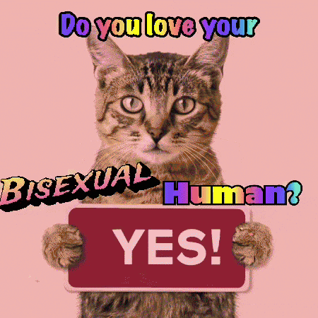 a cat holding a sign that says " yes "