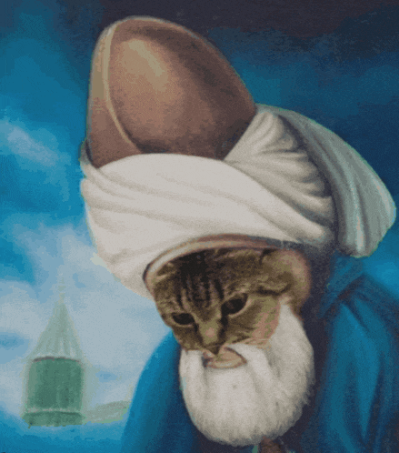 a cat with a beard wearing a turban