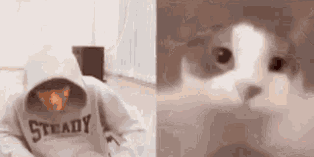 a man wearing a hoodie and a cat looking through a hole in the wall .