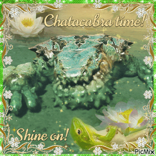 a picture of a frog and a crab that says chatacoba time