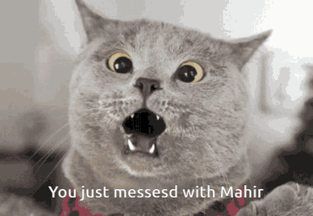 a cat with its mouth open and the words " you just messed with mahir " on the bottom