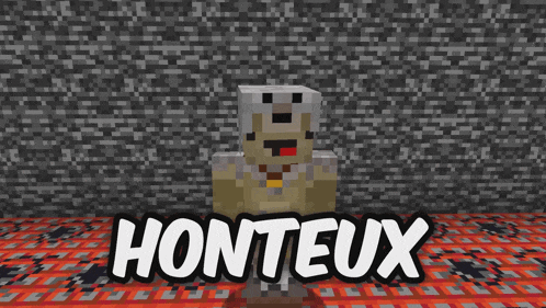 a picture of a minecraft character with the name honteux