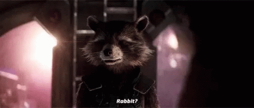 Guardians Of The Galaxy Rabbit GIF - Guardians Of The Galaxy Rabbit Rocket GIFs
