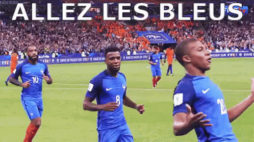 Allez Les Bleus GIF - Allez Les Bleus équipe De France Edf GIFs