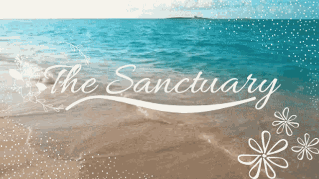 The Sanctuary Beach GIF - The Sanctuary Beach Ocean GIFs