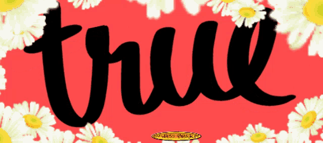 a red background with white daisies and the word true