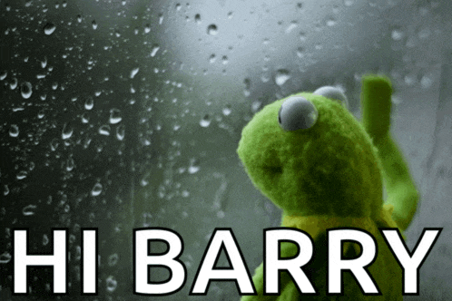 a kermit the frog is looking out a window with the words hi barry behind him