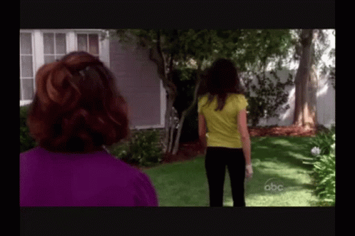 Desperate Housewive GIF - Desperate Housewive Fight GIFs