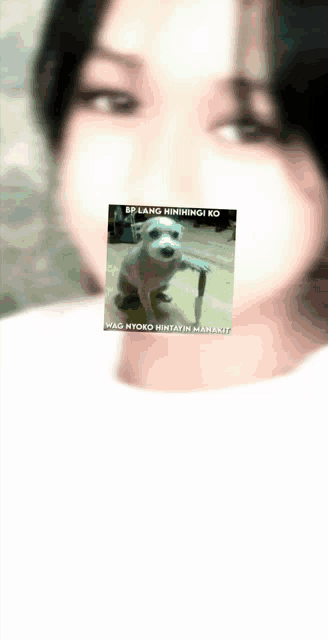 a picture of a dog with a caption that says wag nyoko hintayin manakit