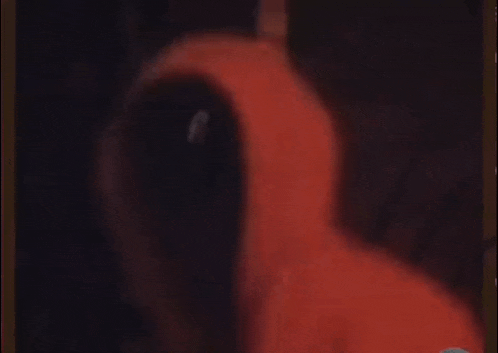 a close up of a person wearing a red hoodie .