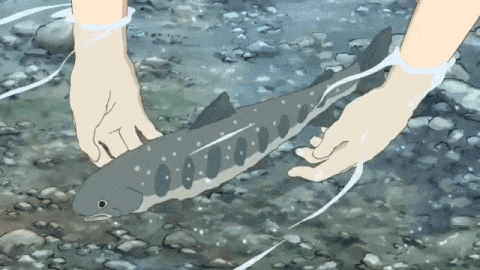 a person is holding a fish in their hands in a rocky area