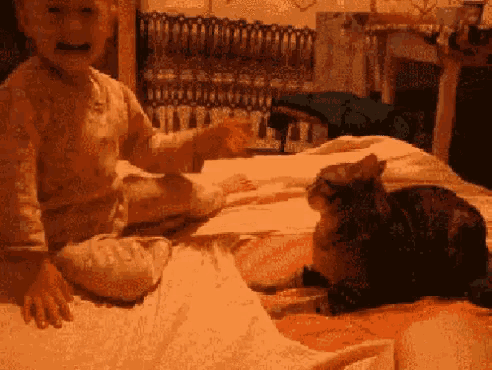 a little girl sitting on a bed with a cat