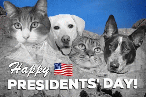 Happy Presidents Happy Presidents Day GIF - Happy Presidents Happy Presidents Day Rushmore GIFs