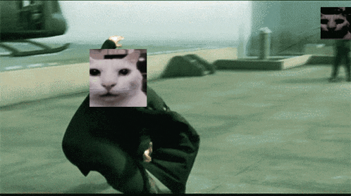 a picture of a person with a white cat on their head