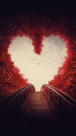 a bridge leading to a heart shaped tunnel of red trees