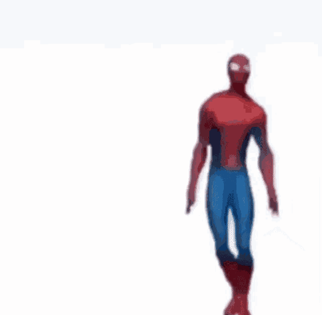 a cartoon of a spider-man standing on his hind legs on a white background .