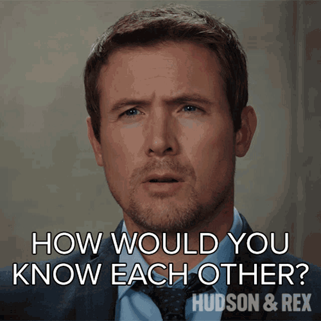 How Would You Know Each Other Charlie Hudson GIF - How Would You Know Each Other Charlie Hudson Hudson And Rex GIFs