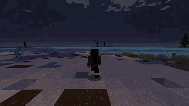 a person in a minecraft video game is standing in the snow