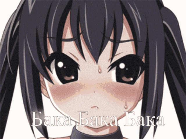 a picture of a anime girl with baka baka baka written on the bottom