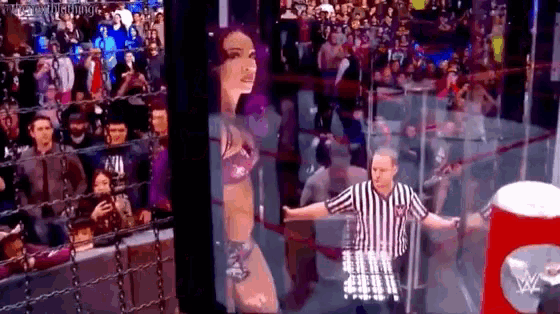 a woman in a bikini is standing in a wrestling ring with a referee standing behind her .