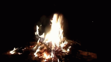 Bon Fire Burning GIF - Bon Fire Burning Flame GIFs