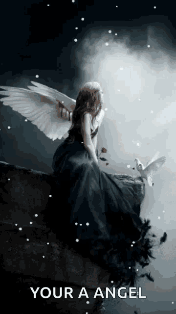 a woman in a black dress with white wings is sitting on a rock with a bird and the words your a angel below her