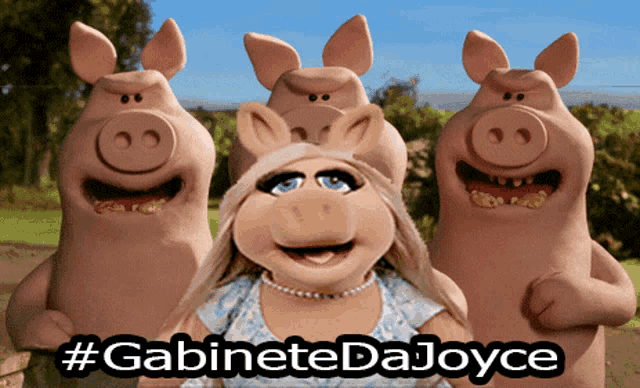a group of pigs standing next to each other with # gabinetedajoyce written below them