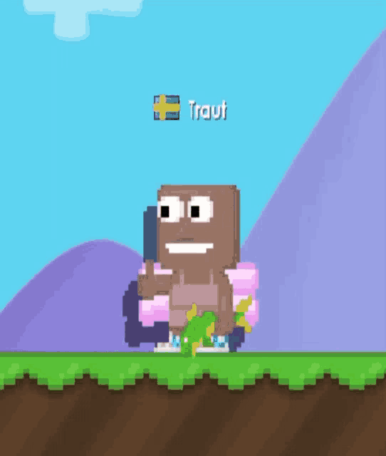a pixel art character named traut is standing on a grassy field