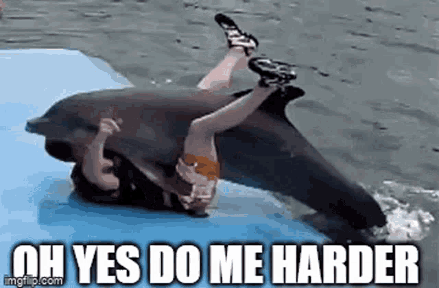 a woman is riding on the back of a dolphin in the ocean .