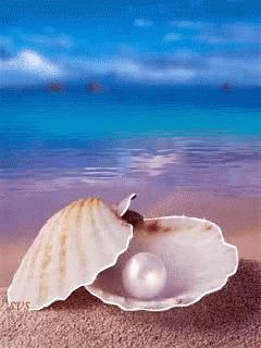 Pearl Pearls GIF - Pearl Pearls Beach GIFs