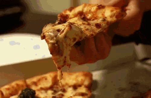a person holding a slice of pizza in their hand
