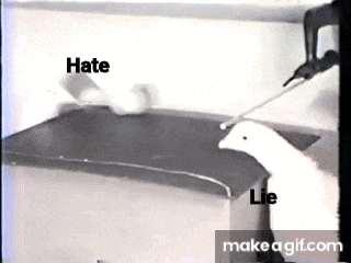 a duck is being sprayed with a hose and the words hate and lie are next to it
