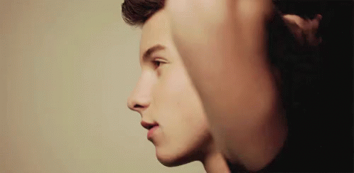 Shawn Mendes Profile And Smile GIF - Shawn Mendes GIFs