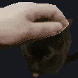 a pixelated image of a hand petting a black cat 's head