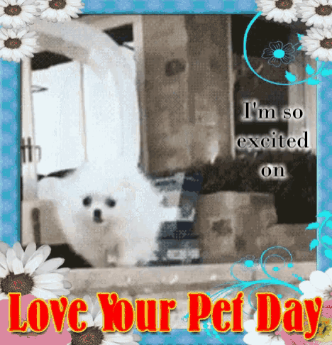 Excited Love Your Pet Day GIF - Excited Love Your Pet Day Dogs GIFs