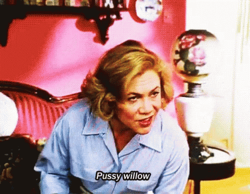 Pussywillow Serialmom GIF - Pussywillow Pussy Serialmom GIFs