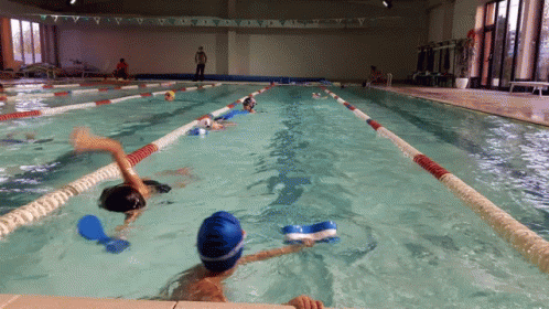 Swim On The Right Side GIF - Swim On The Right Side GIFs