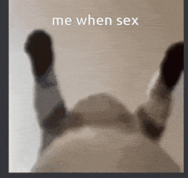 Me When Sex GIF - Me When Sex GIFs