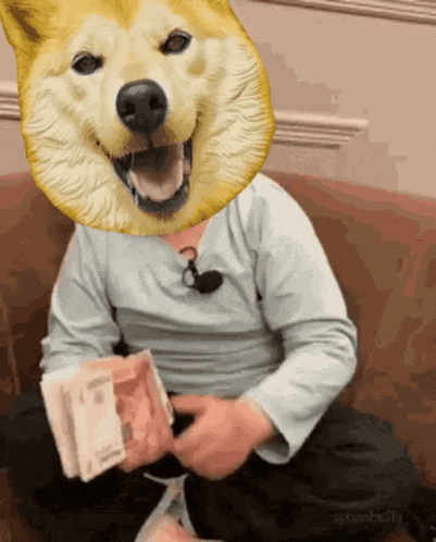 a person with a dog mask on their head is holding a bunch of money .