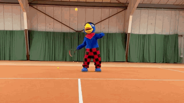 a blue bird mascot is holding a tennis racquet and a tennis ball