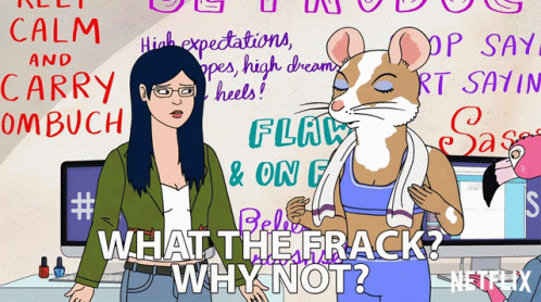 What The Frack Why Not GIF - What The Frack Why Not Wtf GIFs