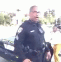 Police Sonic And Knuckels GIF - Police Sonic And Knuckels Violation GIFs