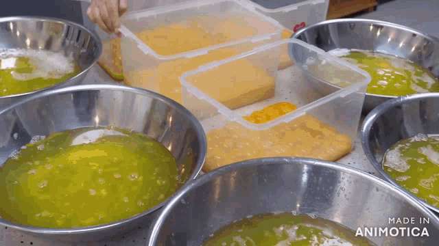 several metal bowls filled with green liquid with the words made in animatica on the bottom right