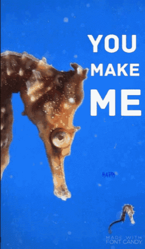 a seahorse is on a blue background with the words you make me happy