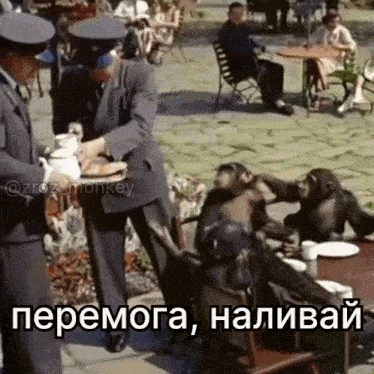 a group of monkeys are sitting at a table with plates of food being served by two men in suits .