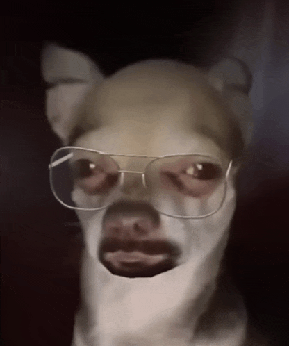 a close up of a dog wearing glasses and a mask