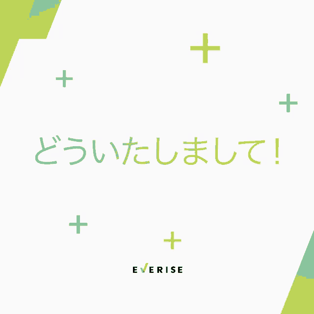 a white background with green and yellow pluses and the word everise